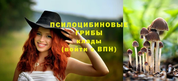 первитин Белокуриха