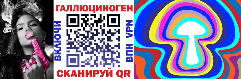 Галлюциногенные грибы Psilocybe  Шагонар 